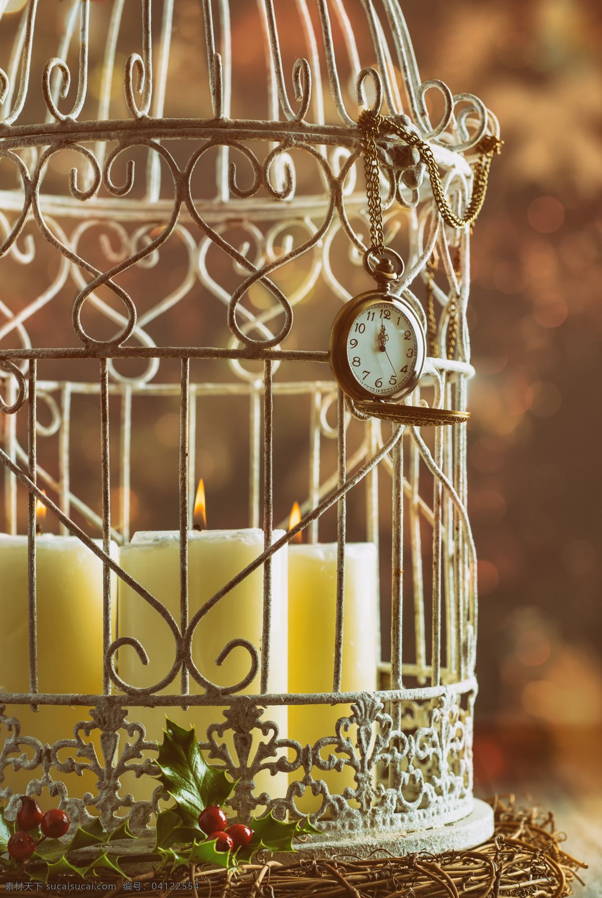 鸟笼里的蜡烛 静物 鸟笼 浆果 怀表 蜡烛 其他类别 生活百科 棕色