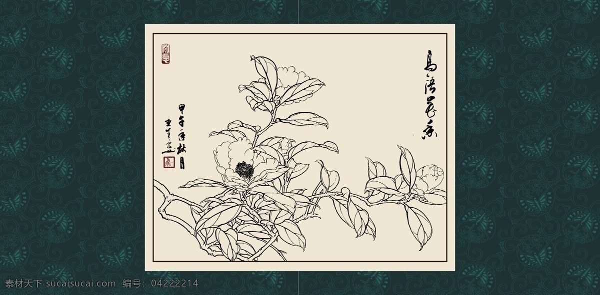 绘画 白描 线描 手绘 国画 轮廓 印章 书法 装裱 植物 花卉 花草 花鸟 工笔 写实 写生 毛笔画 昆虫 白描茶花 文化艺术 绘画书法