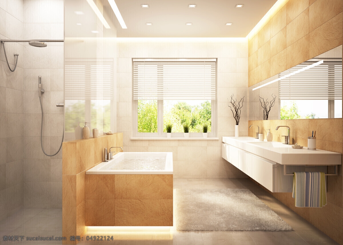 宽敞 卫生间 洗手盆 浴缸 房间 室内设计 装修 装潢 环境家居