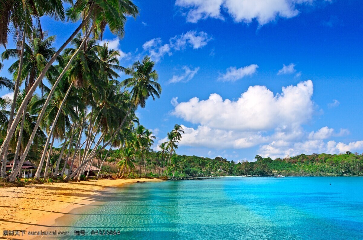美丽热带海滩 大海 海洋 海边 沙滩 清澈 蓝天白云 晴朗 度假 休闲 椰子树 风光 风景 美景 迷人 陶醉 美丽 自然 美丽自然 自然风景 自然景观