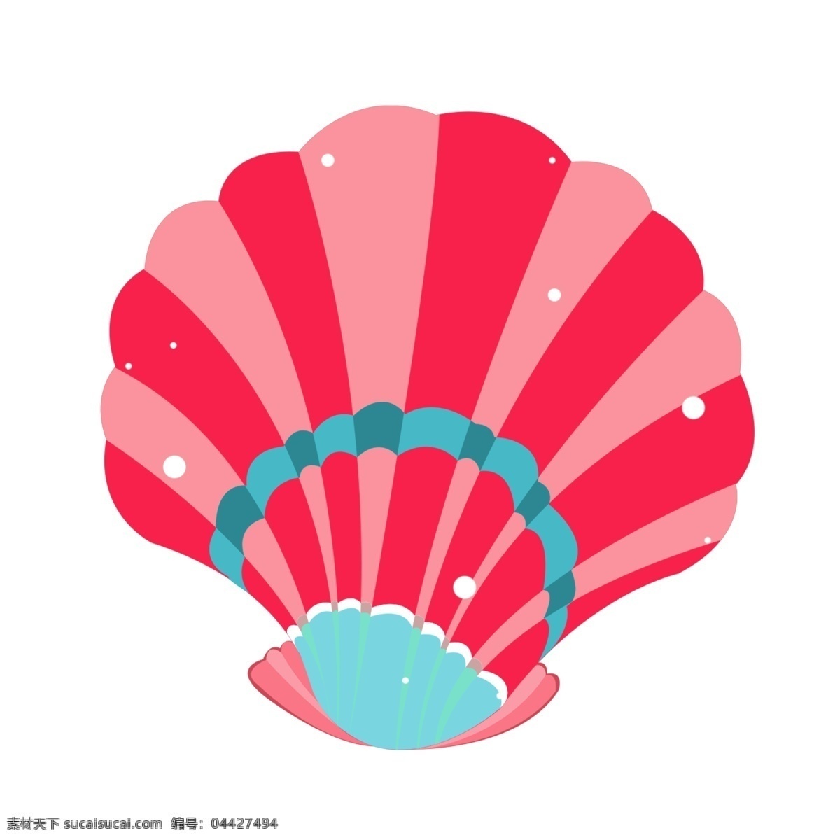 海洋扇贝贝壳 红色扇贝 贝壳 生物