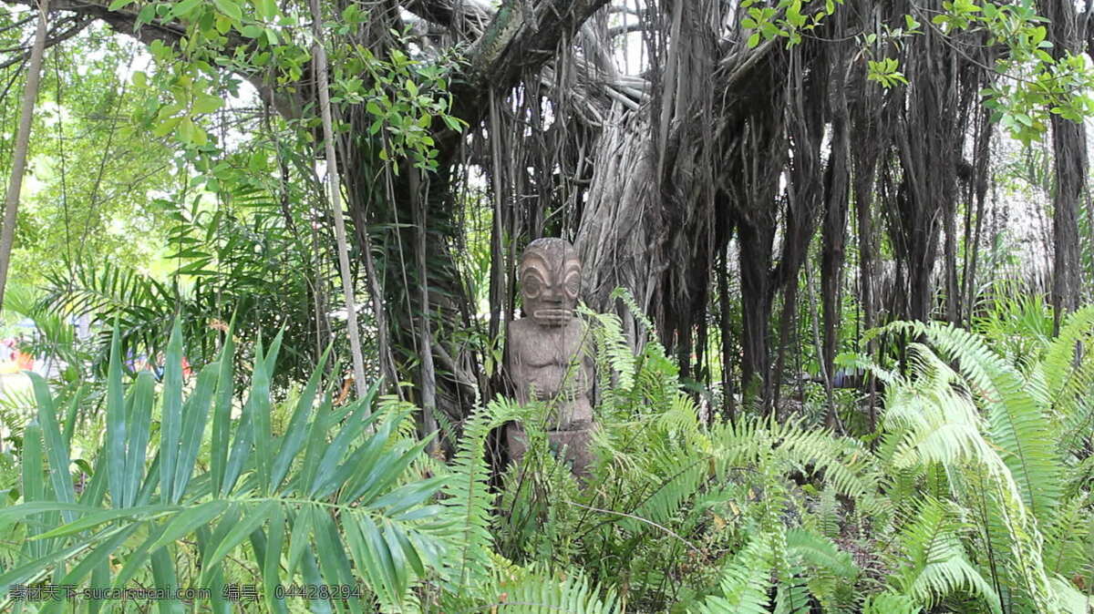 帕皮提 提 基 股票 录像 丛林 岛 雕刻 雕塑 雕像 葡萄藤 热带 神像 树木 叶子 塔希提 法属波利尼西亚 植物 蕨类植物 视频 其他视频