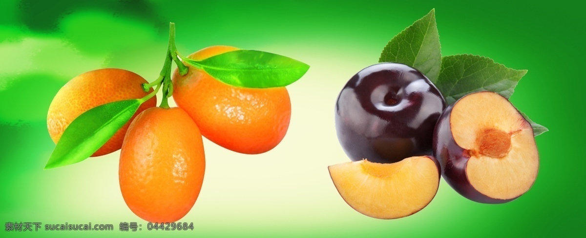 水果图片 水果组合 绿色背景 李子 金桔 分层