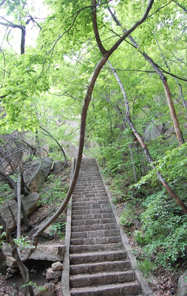 石头台阶 石台 山里的台阶 旅游景区 阶梯 石头阶梯 旅游摄影 国内旅游