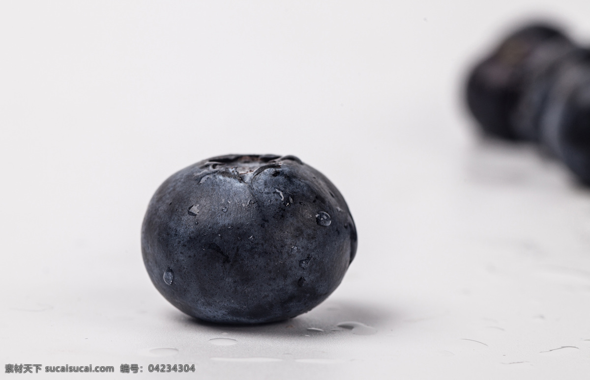 蓝莓果 蓝莓 蓝莓树 蓝莓苗 蓝莓果实 蓝莓酒 水果摄影 生物世界 水果