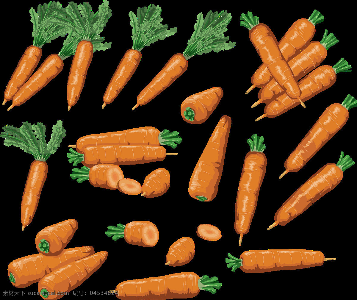 胡萝卜 红萝卜 黄萝卜 小人参 萝卜 png图 透明图 免扣图 透明背景 透明底 抠图 生物世界 蔬菜