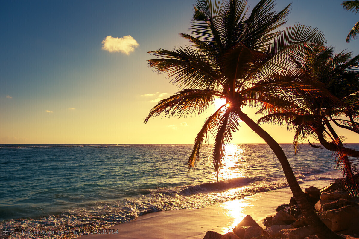 美丽 夏日 海滩 景色 高清 沙滩 上 拖鞋 椰子树 旅游度假 夏日海滩 夏日元素 夏季主题 大海图片 风景图片 黑色