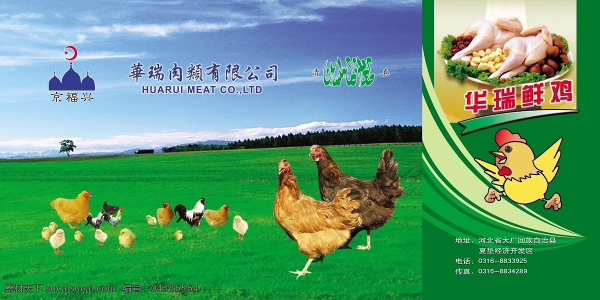 鸡肉箱 华瑞鲜鸡 清真鸡肉 京福兴 华瑞肉类 包装设计 广告设计模板 源文件