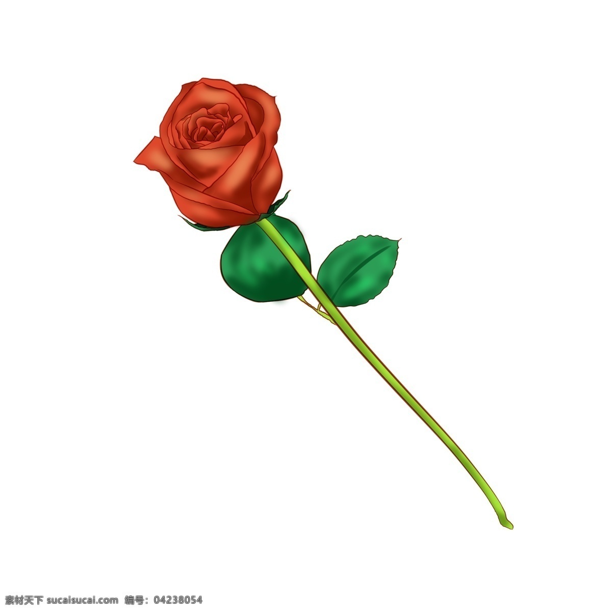 情人节 红色 玫瑰花 插画 红色玫瑰花 红色花朵 红玫瑰 一朵花 情人节送花 鲜艳的花朵 玫瑰花插画 绿色的枝叶