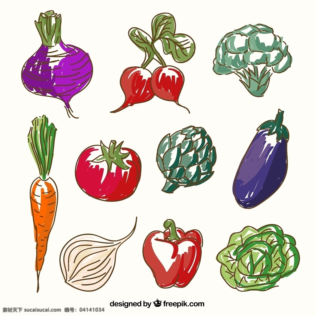 彩绘蔬菜 茄子 萝卜 花椰菜 西红柿 胡萝卜 甜菜 柿子椒 大蒜 莴苣 蔬菜 白色