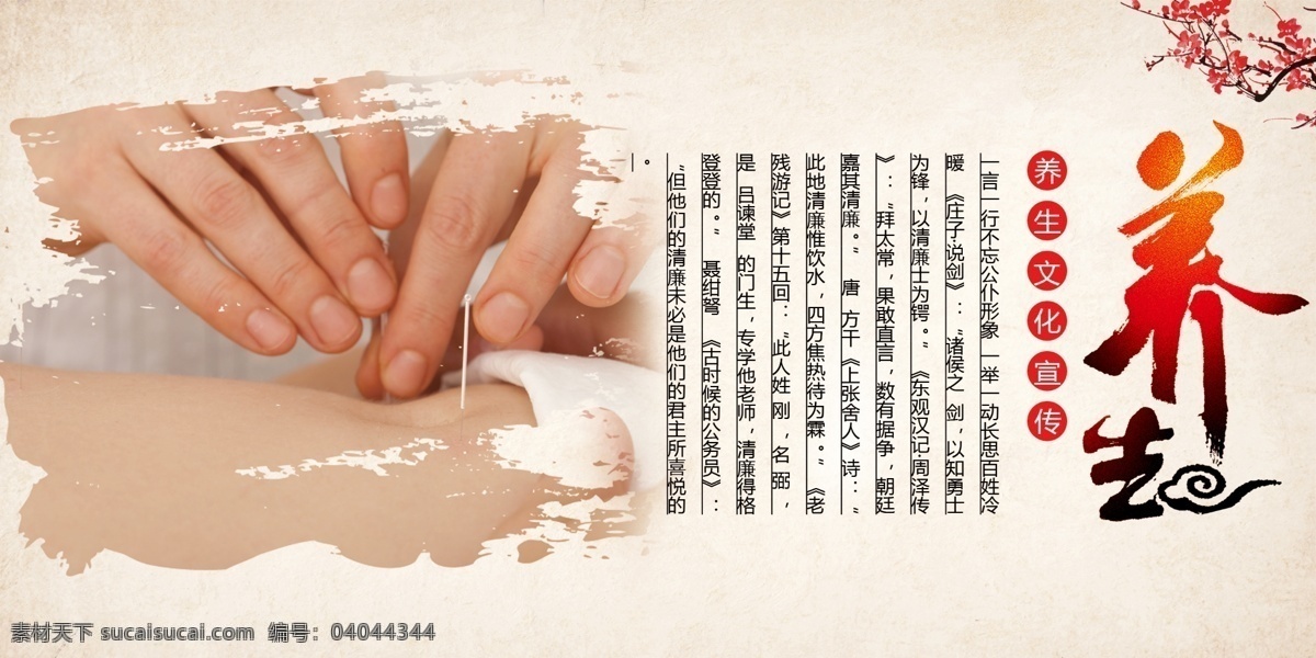 针灸 中医疗法 养生 展板 中医文化 梅花 中医 中国风 水墨