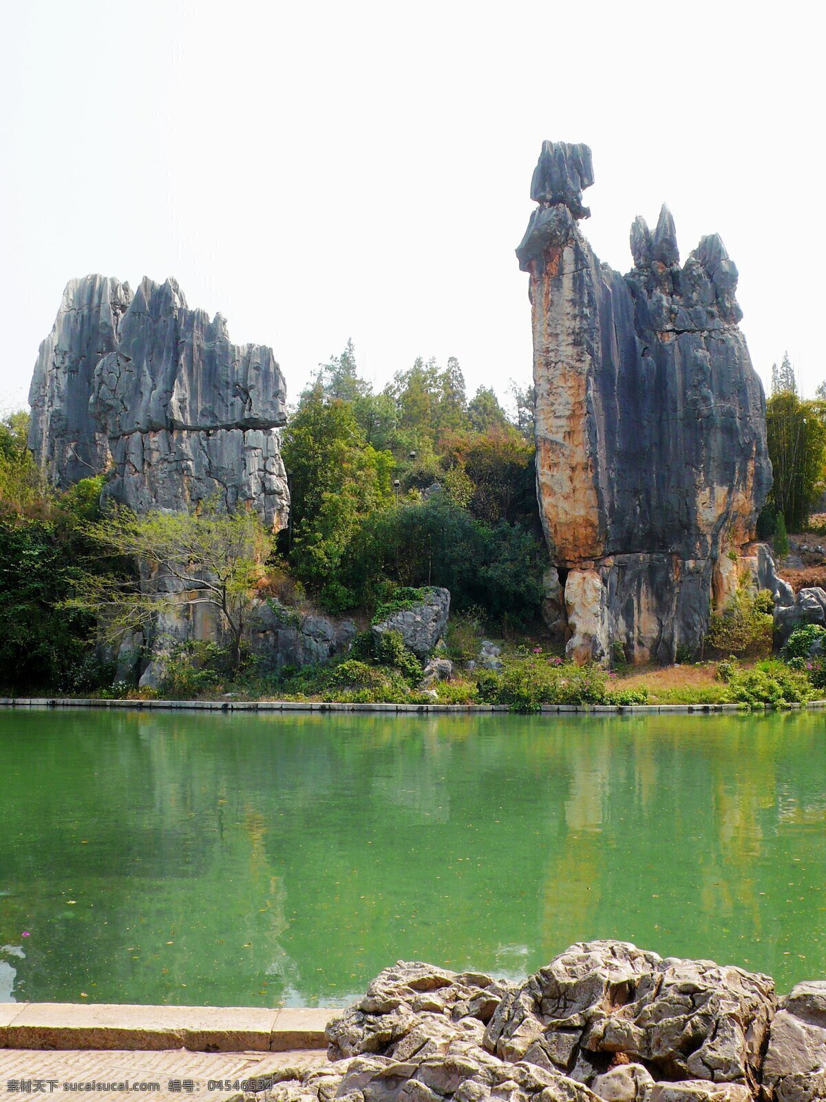 树免费下载 风景 山水风景 摄影图 树 植物 自然景观 水 家居装饰素材 山水风景画