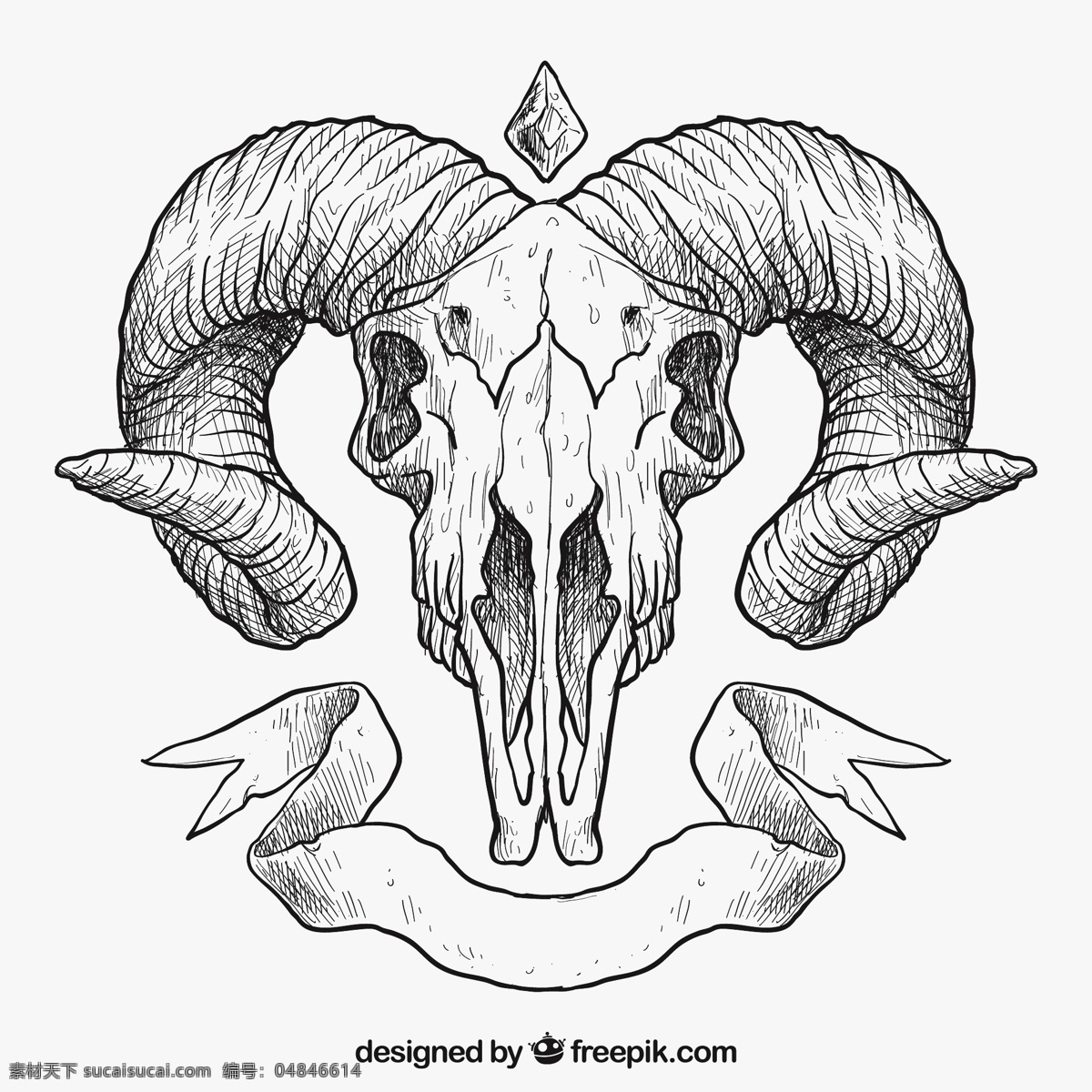 手绘动物头骨 手 动物 手画 头骨 绘画 头部 插图 山羊 手绘 骨骼 草图