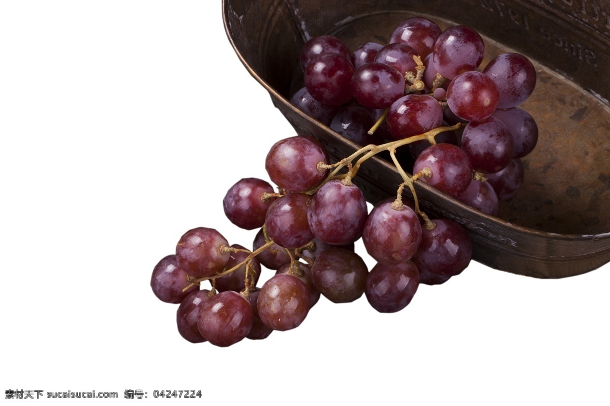 夏 黑 葡萄 红提 好吃 夏黑葡萄 巨峰葡萄 葡萄基地 紫葡萄 葡萄园 葡萄架 夏黑 提子 果园 水果