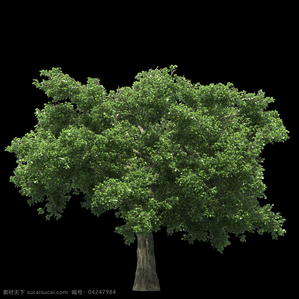 绿色 茂密 大树 元素 png元素 免扣元素 树叶 透明素材 植物