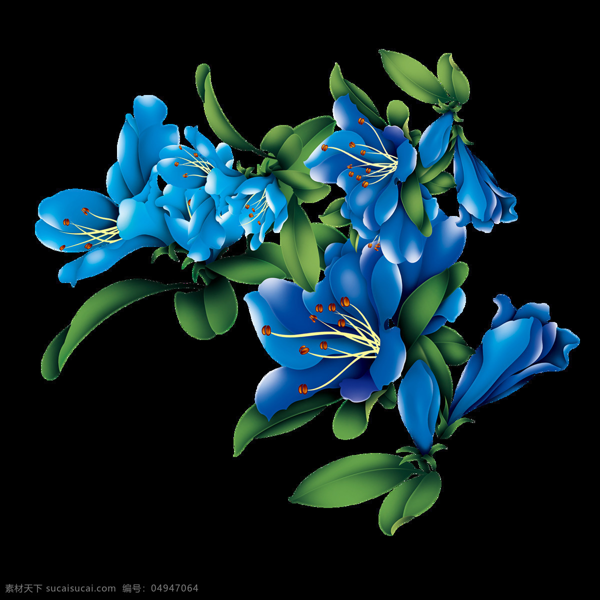 蓝色 牡丹花 免 扣 元素 花朵 蓝色花 手绘花朵 免扣