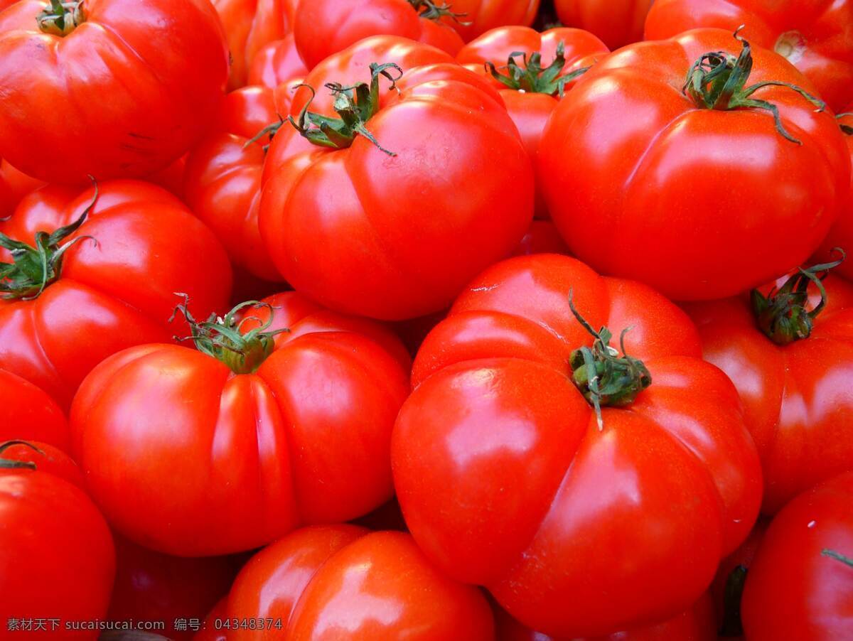 西红柿 番茄 红色 红番茄 红柿子