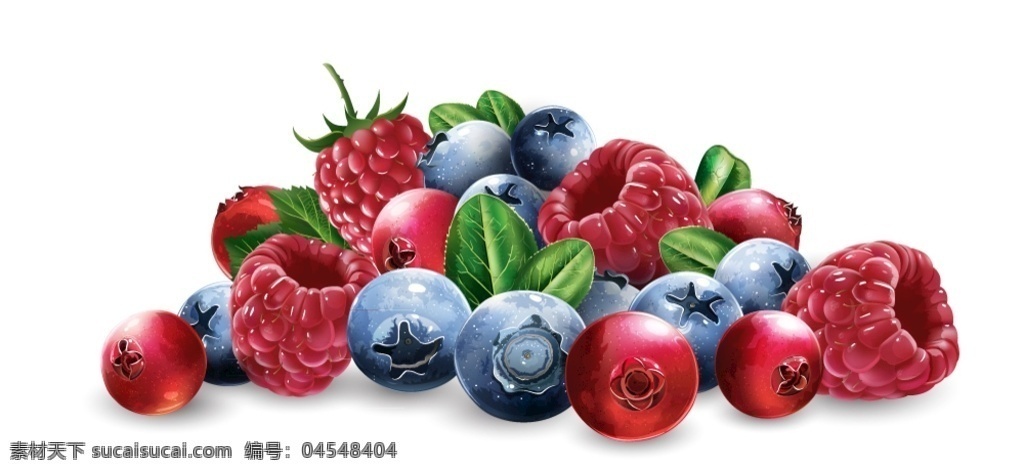 新鲜 水果 果粒 新鲜水果 蔓越莓 蓝莓 浆果 立体 vi设计