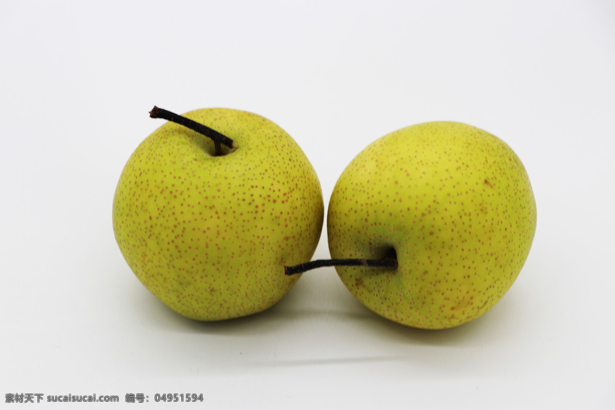 两个梨 梨 梨子 香梨 砀山梨 静物水果 水果摄影 水果图片 健康生活 绿色水果 有机水果 果蔬摄影 生物世界 水果