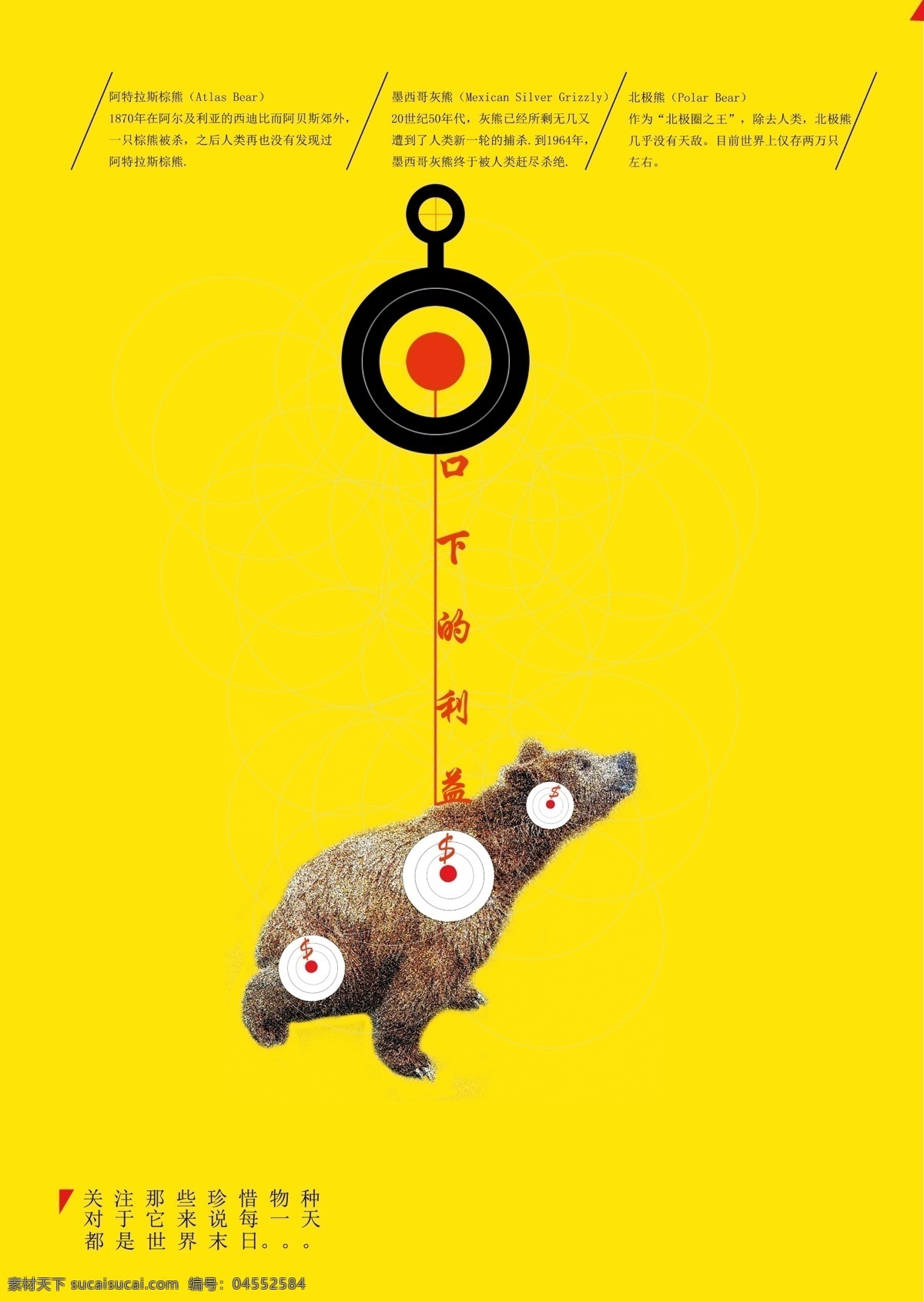 保护动物海报 毕业设计 创意 公益海报 广告设计模板 熊 野生动物 保护 动物 海报 模板下载 源文件 环保公益海报
