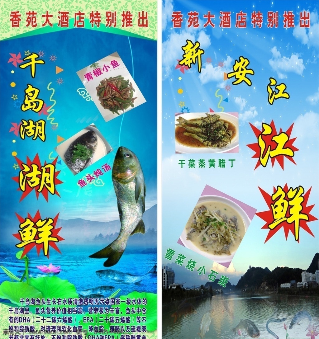 湖鲜 江鲜 千岛湖鱼 新安江鲜 特别推出 水 荷叶