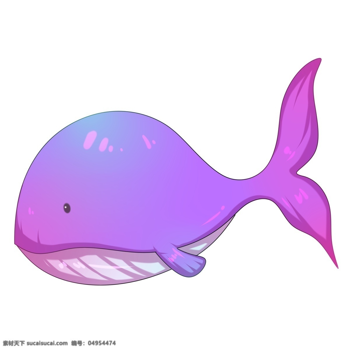 卡通 手绘 圆鼓鼓 粉色 鲸鱼 插画 巨鲸 鲸目 海洋 大海 哺乳动物 游泳 遨游 喷水 玩耍 巨大 可爱 卡通手绘