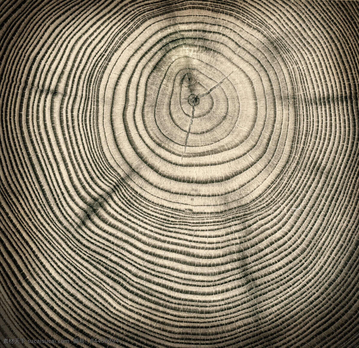 年轮 木纹 木板 木头材质 材质 纹理 肌理 材质纹理 建筑园林