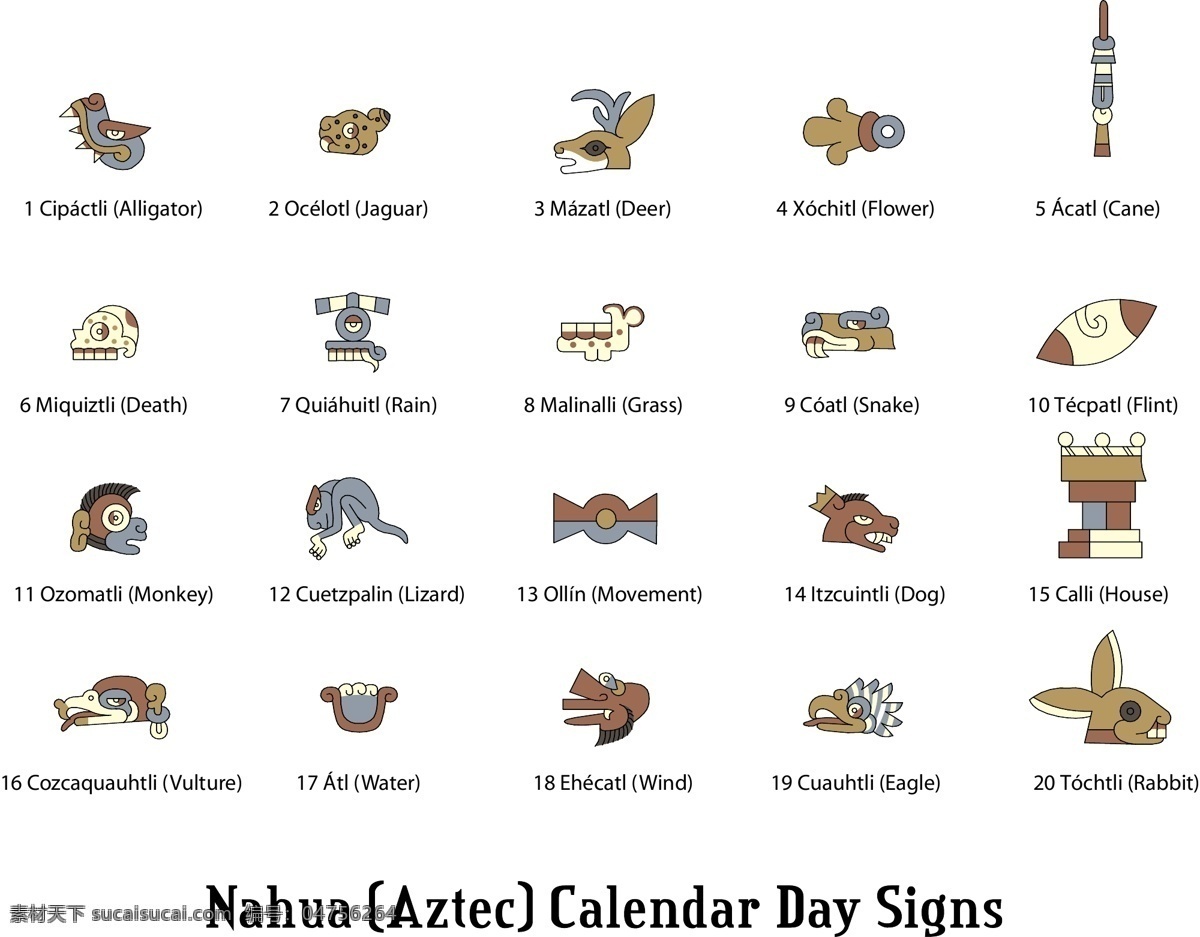 纳瓦 aztec 日历 迹象 标志 动物 猴子 美国人 矢量图 其他矢量图