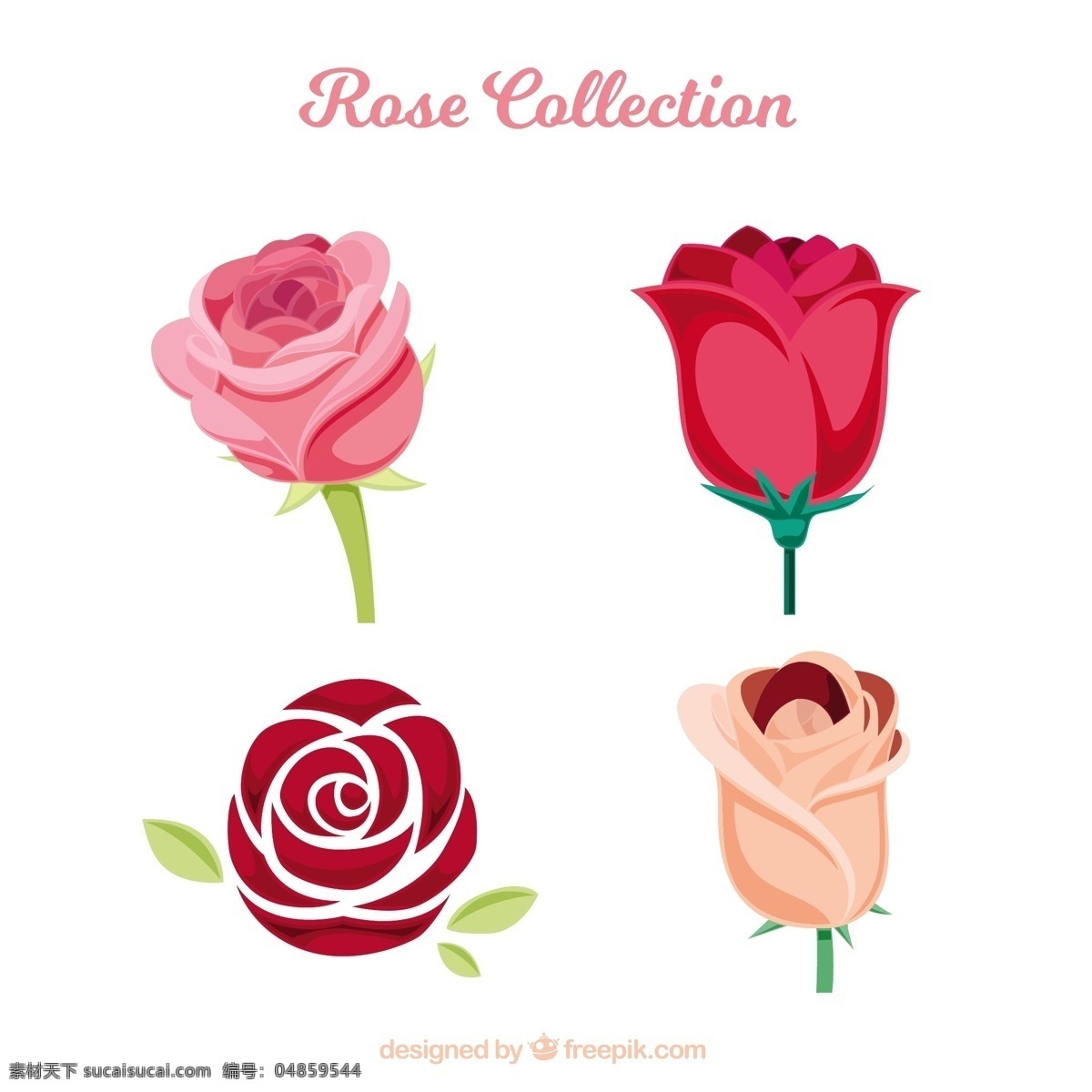 各种 不同 种类 玫瑰 图标 不同种类的