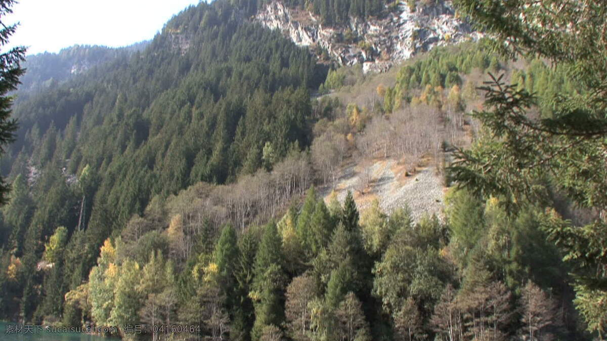 瑞士 股票 视频 湖 场景 风景 绿色 美丽 山 视频免费下载 树 水 其他视频