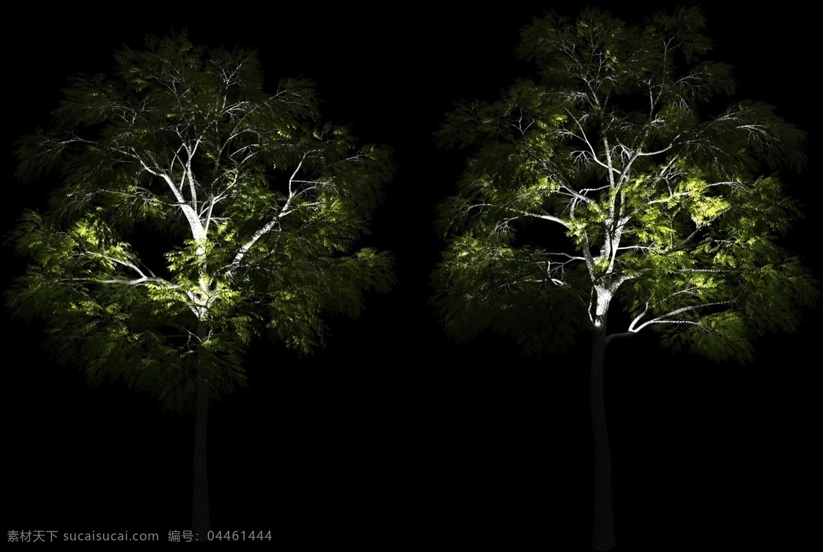 夜景树 照明树 景观树 照明设计 景观设计 树木 环境设计