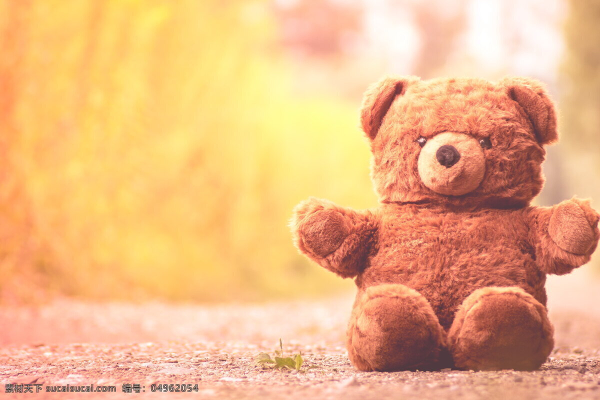 可爱 泰迪 熊 玩具 高清 泰迪熊 小熊 玩具熊 毛绒玩具