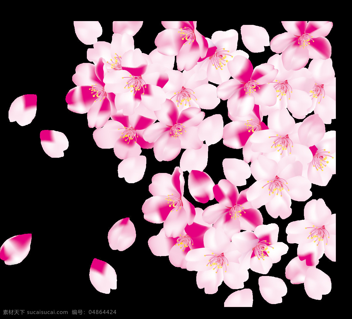 飞舞 悬浮 樱花瓣 樱花树 花蕊 艳丽 粉色樱花 装饰元素 粉色花瓣