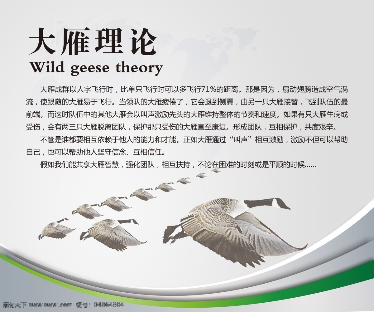 大雁理论 大雁 理念 文字 解说 大气灰色背景 灰色 绿色 线线