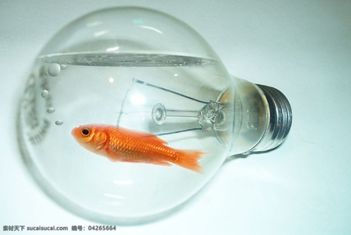 鱼和灯泡 超现实主义 灯泡 金鱼 分层 源文件