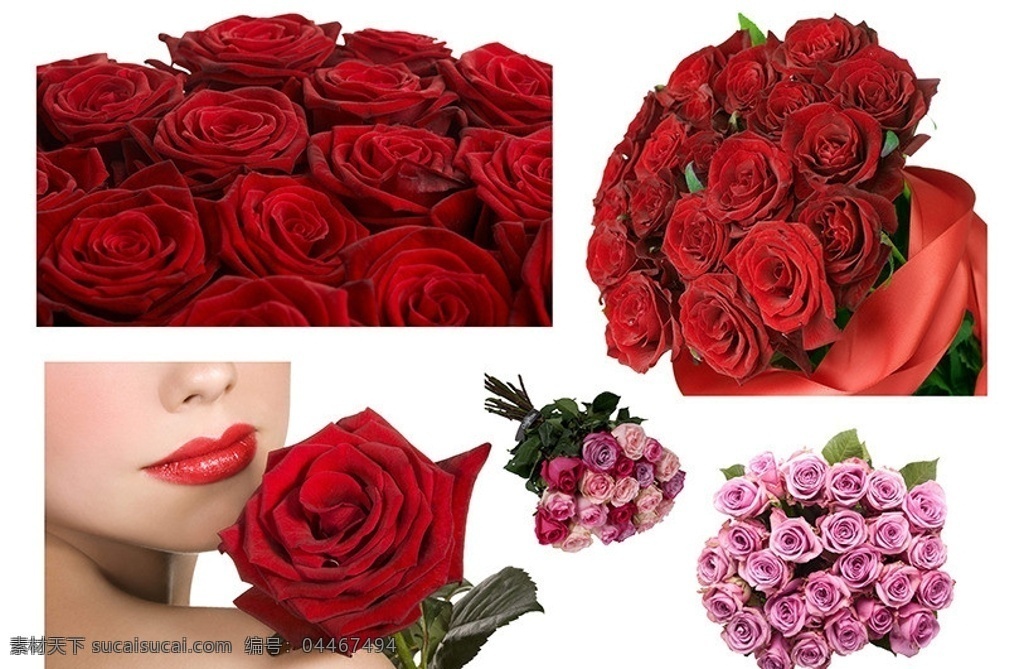 玫瑰花素材 玫瑰 玫瑰花束 红玫瑰 玫瑰特写 粉红玫瑰 分层 源文件