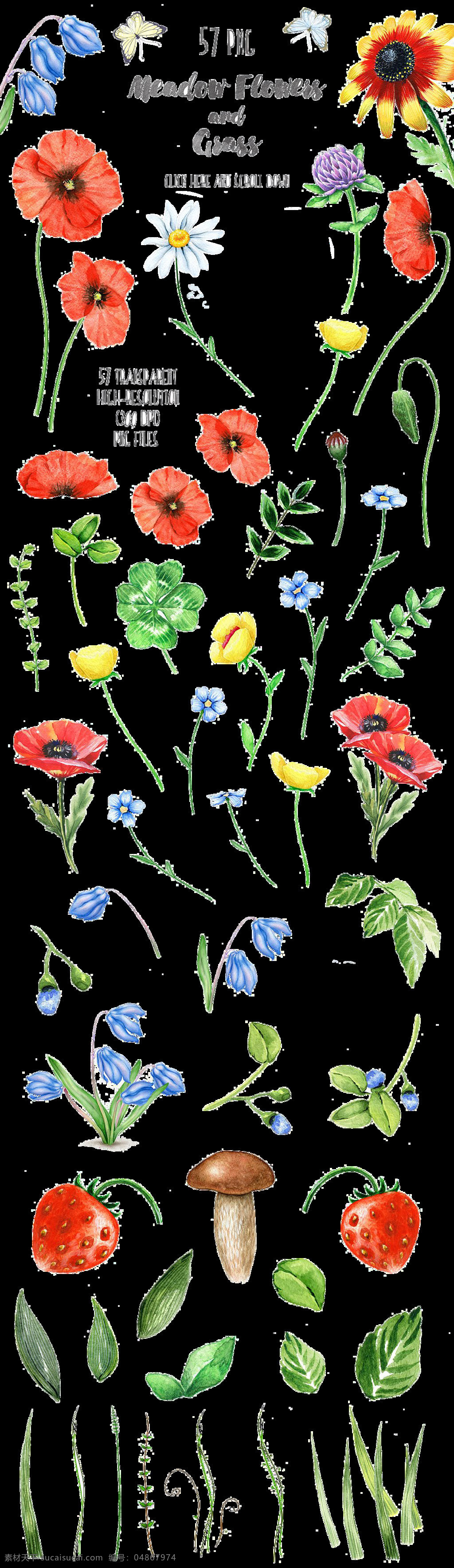 彩色 花朵 手绘 水彩 树叶 创意图案 树枝 五彩 草莓 蘑菇 清新花蕊