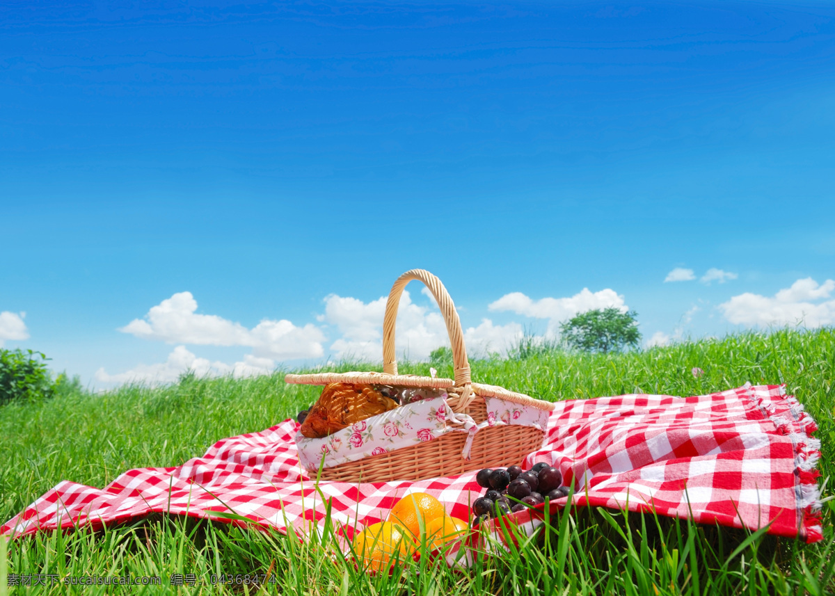 草地 上 野餐 篮子 蓝天白云 郊外 郊游 春游 野游 食物 橙子 葡萄 水果 摄影图 高清图片 美食图片 餐饮美食