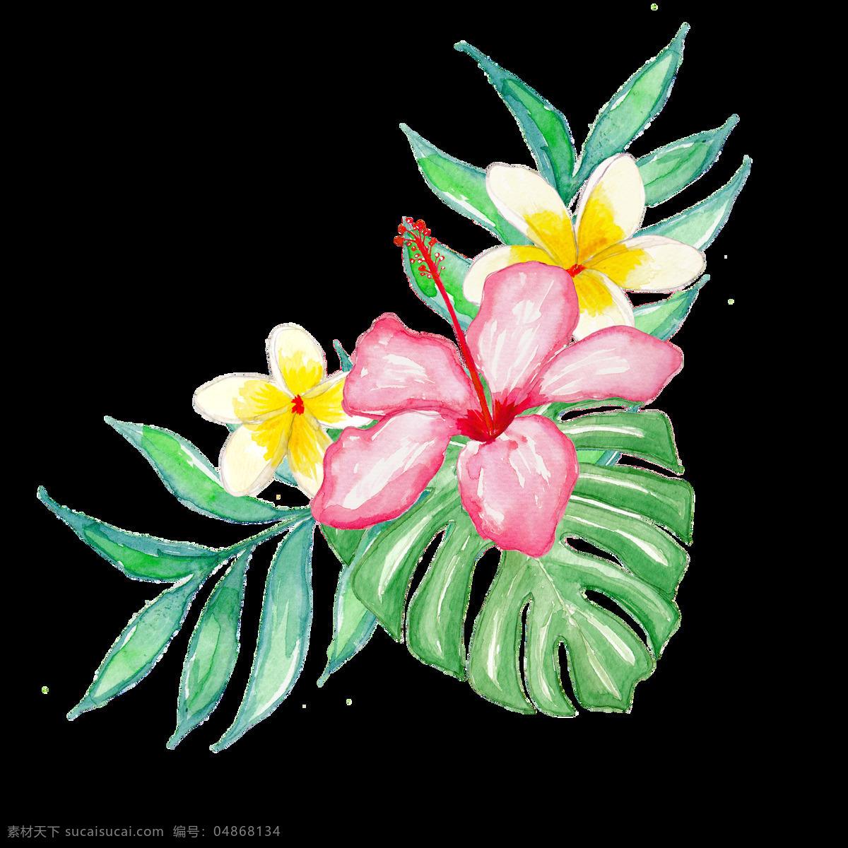 热带 植物 卡通 透明 抠图专用 装饰 设计素材