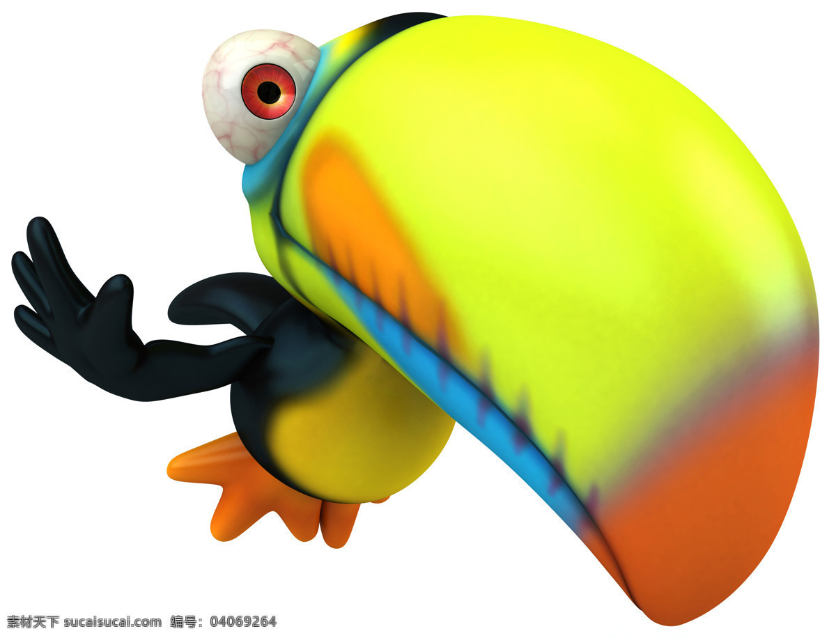 可爱 卡通 鹦鹉 动物世界 3d小鸟 鸟类 巨嘴鸟 空中飞鸟 生物世界