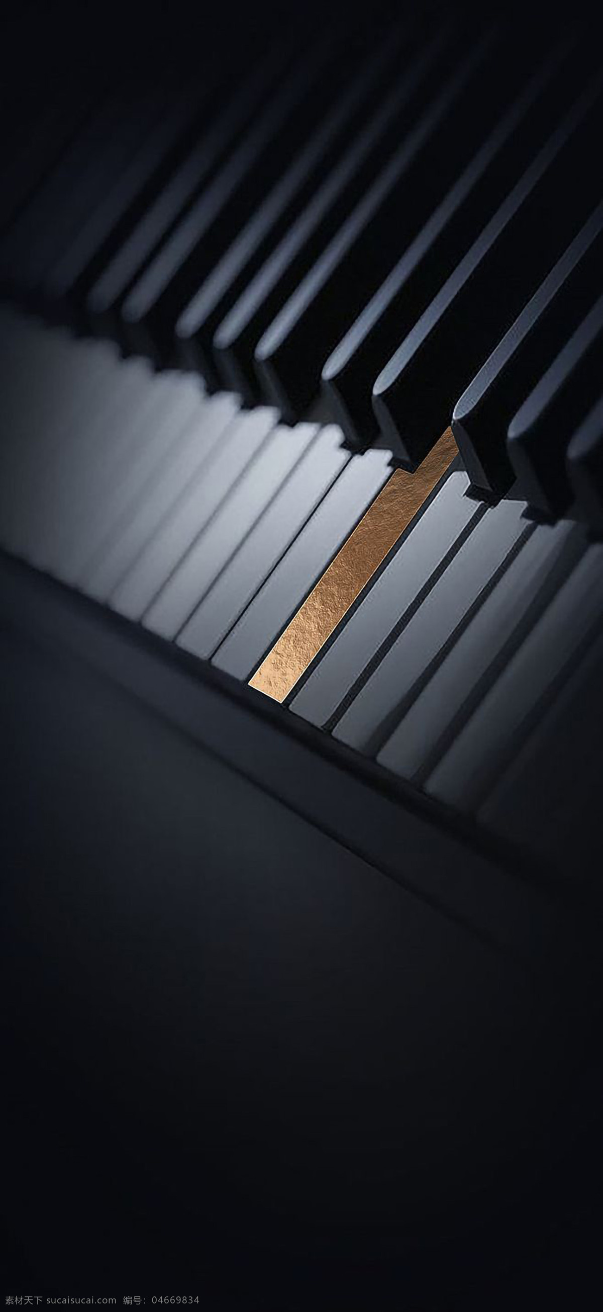 钢琴 大气 质感 黑色 背景 金色 黑金 按键 琴键 高端 深色 艺术 底图 意境