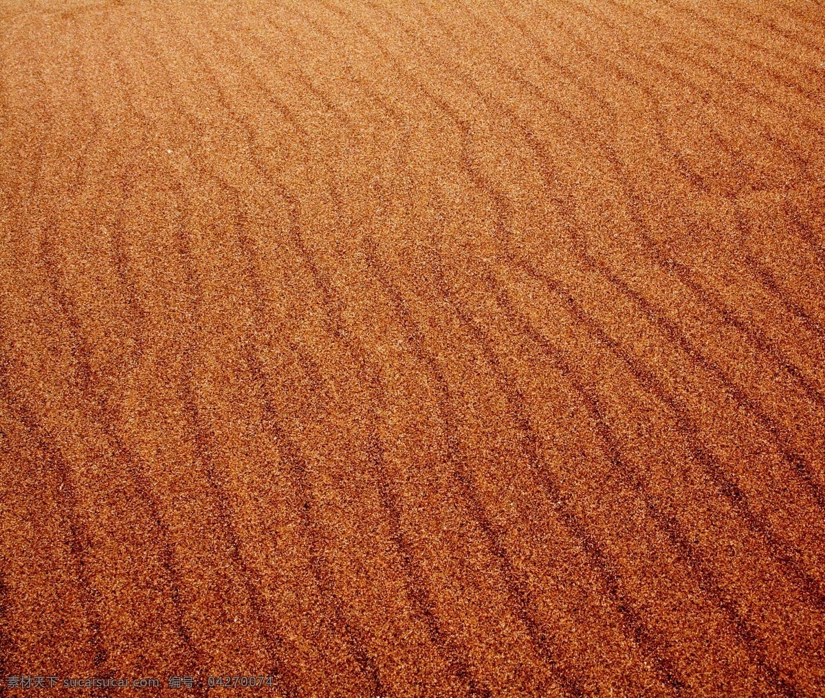 沙子 背景 沙滩 海滩 沙漠 细砂 底纹背景 背景图片 山水风景 风景图片