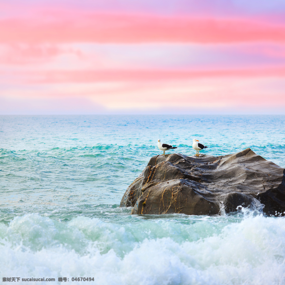 蓝 海里 礁石 上 小鸟 蓝海 波浪 柔和颜色搭配 自然景观 风景 海面风景 其他类别 生活百科
