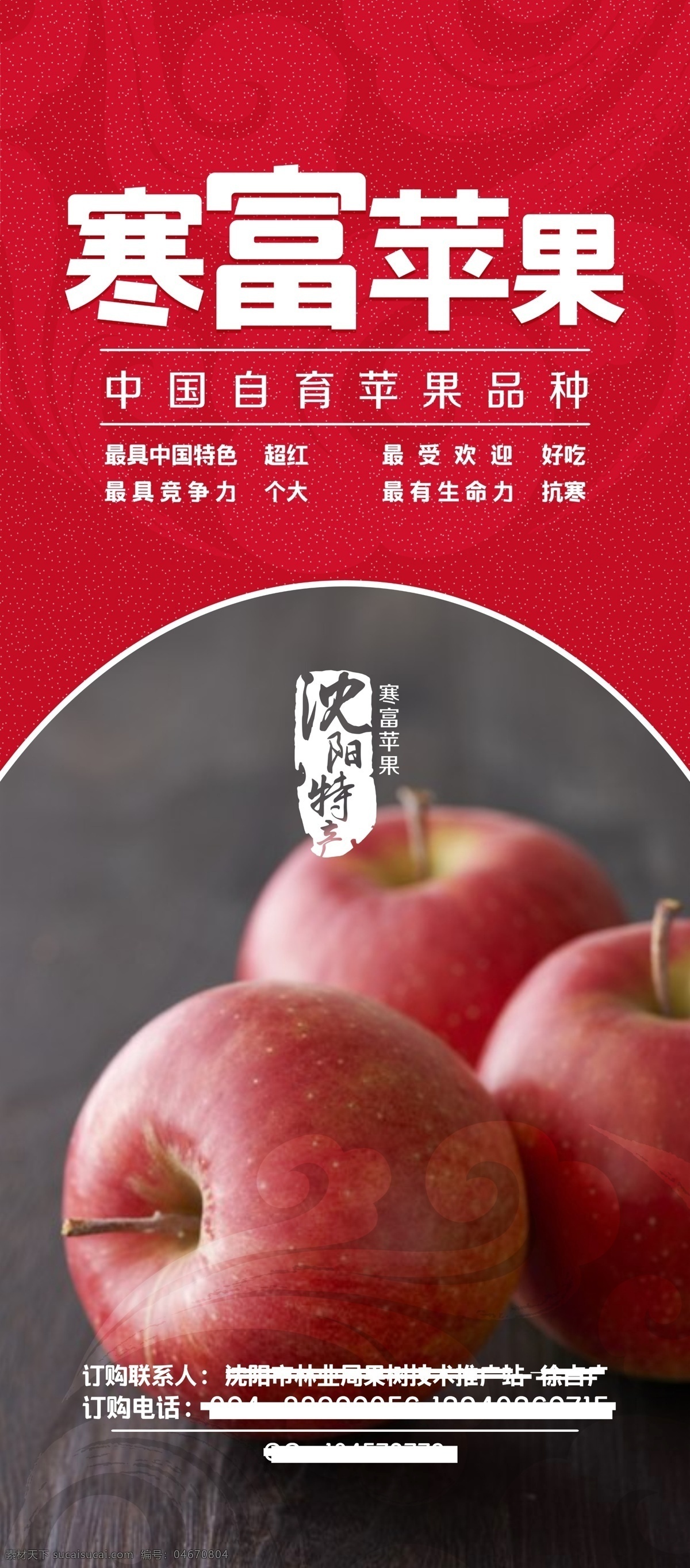 苹果展架 苹果 团购会 红苹果 富士苹果 展架 红色