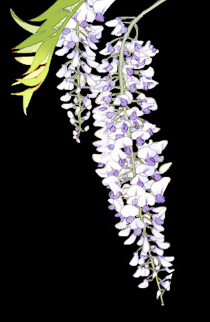 薰衣草 花 花朵花草 古代 古花 荷花 莲花 桃花 卡通花朵 插画图片 唯美花朵 花朵儿 花元素 免扣花素材 免扣花 手绘花朵 金色花朵 花朵背景 手绘 手绘花纹 矢量花朵 免抠花朵 彩色花 插画 艺术花 花朵叶子 花朵 花朵树叶 植物树叶 树叶花草 插画花朵 花草 许愿树 祭祀树 愿望树