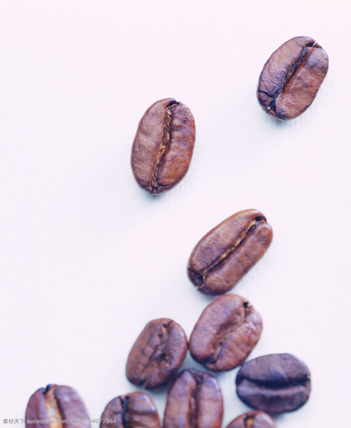 咖啡豆 特写 颗粒 饱满 褐色 杯子 咖啡 咖啡原料 高清图片 咖啡图片 餐饮美食