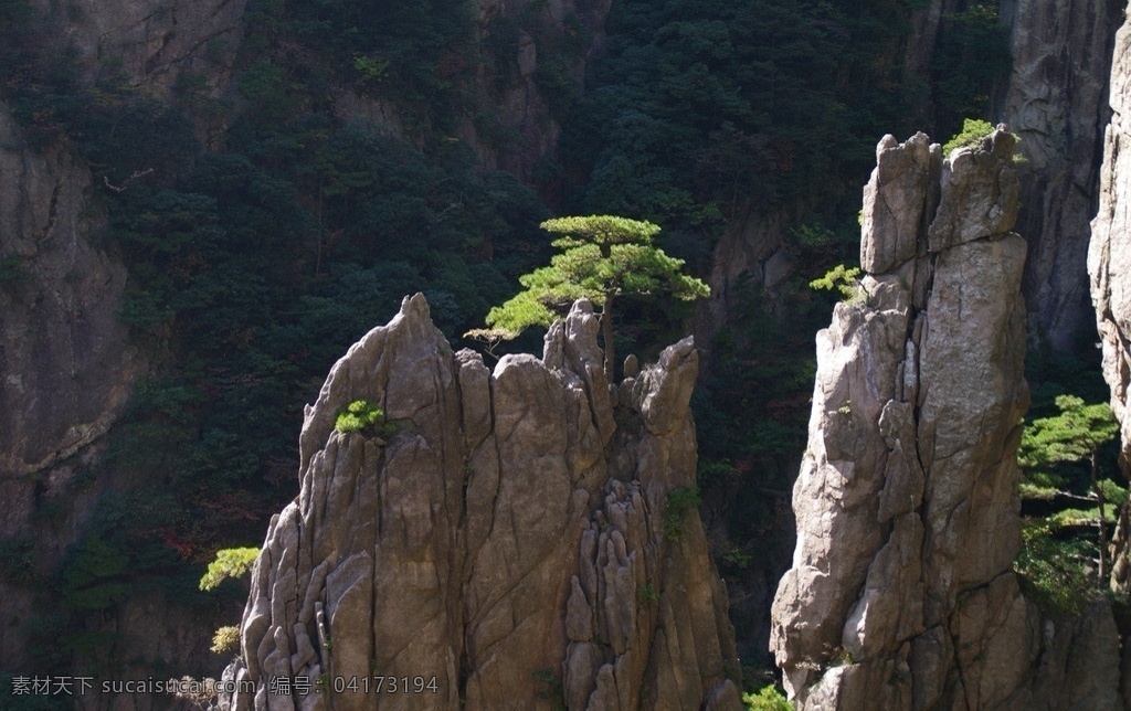 黄山 安徽 黄山松 松树 奇松 蓝天 巨石 怪石 石头 国内旅游 旅游摄影