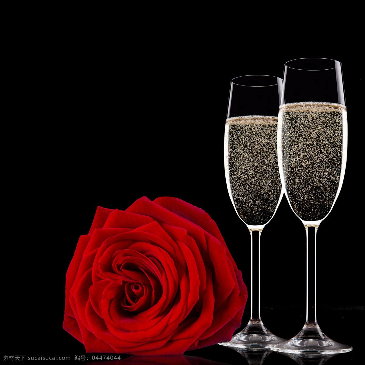 香槟 玫瑰花 鲜花 红玫瑰 火玫瑰 香槟酒 酒水 美酒 酒杯 杯子 杯具 高脚杯 花朵 花卉 酒精 酒类 生物世界 花草