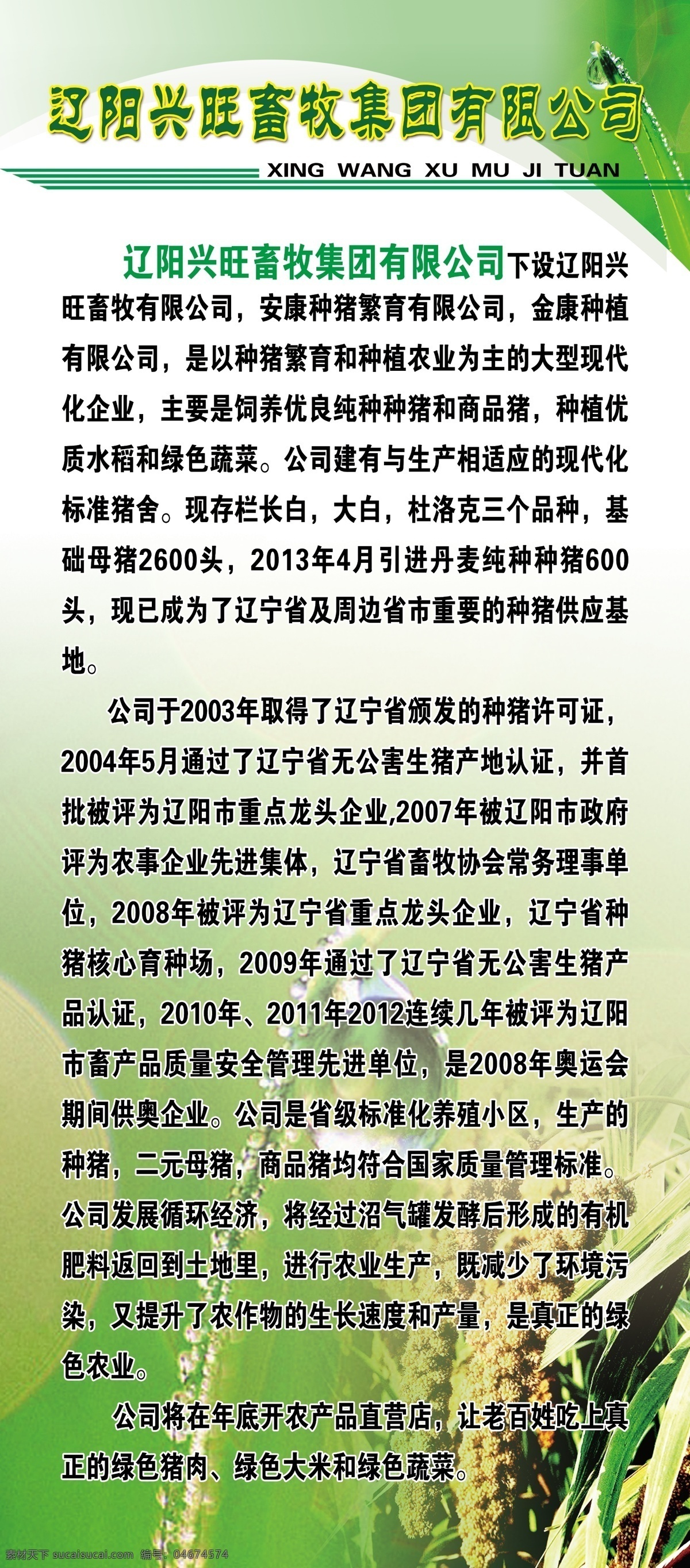 农业展架 展架 米业展架 稻谷 绿色背景 分层 原文件素材 展板模板 广告设计模板 源文件