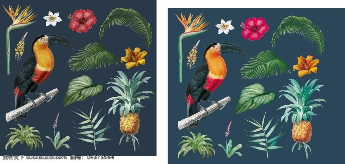 热带 植物 夏季 海报 热带植物 夏季海报 海报素材 鹦鹉